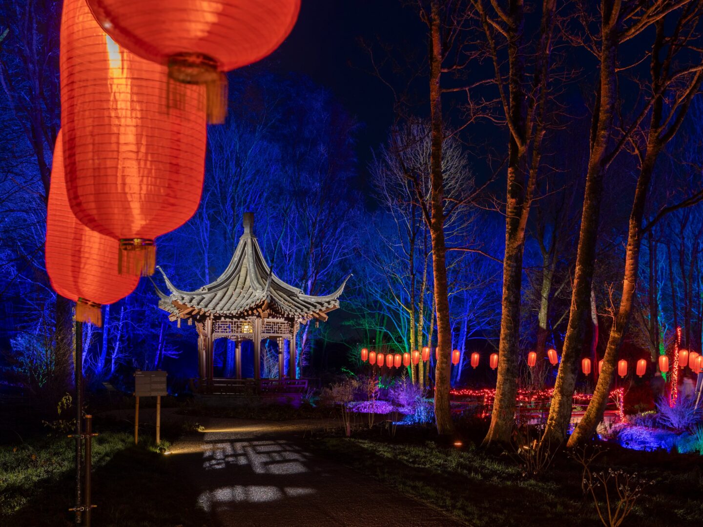 RHS Bridgewater GLOW