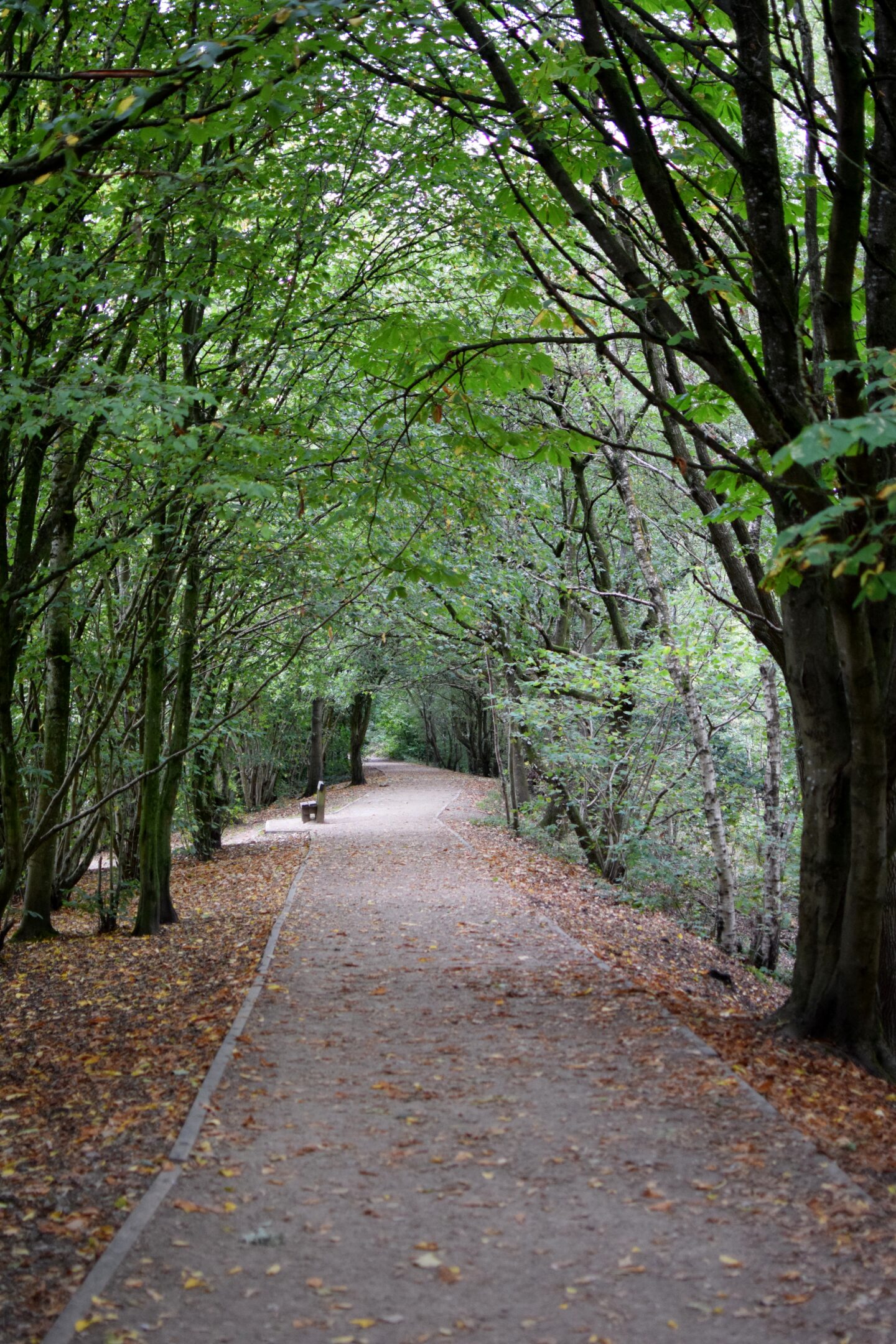 Clifton Country Park lakeside trail