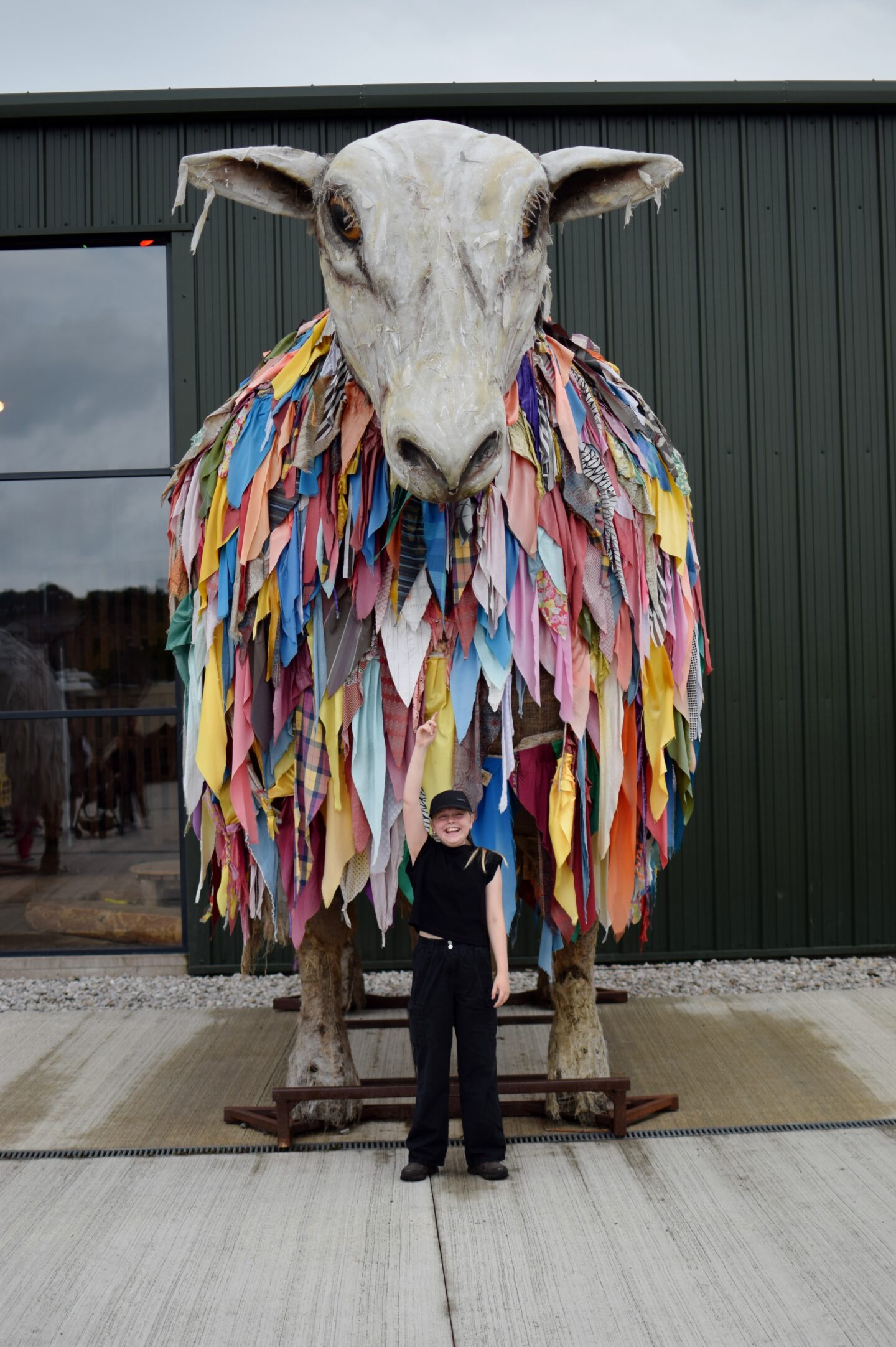 Mrs Dowsons Farm Park, Blackburn