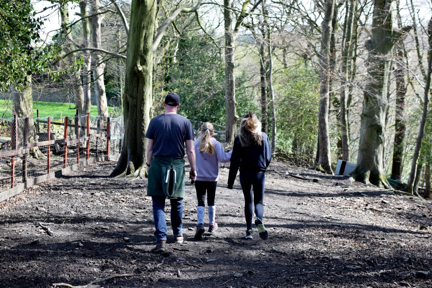 Woodland walk at pig sanctuary