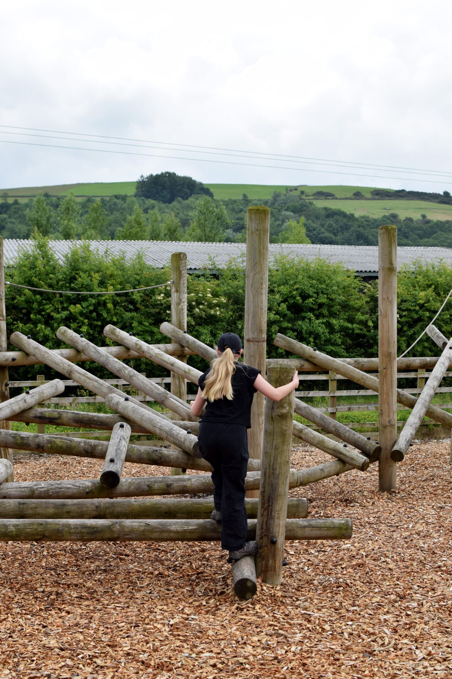 large wooden climbing frame at Mrs Dowsons