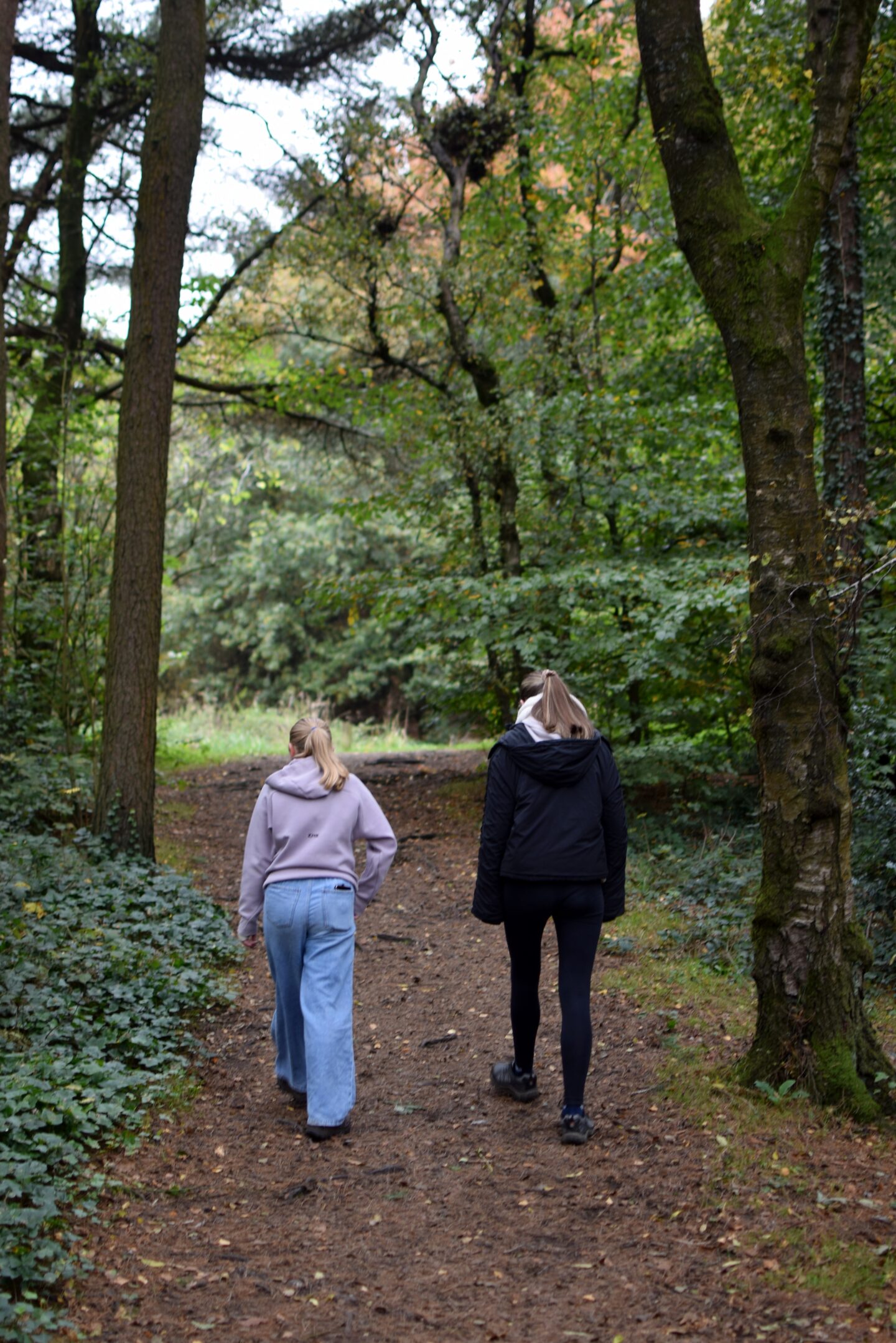 Autumnal walk at Tandle Hill Country Park