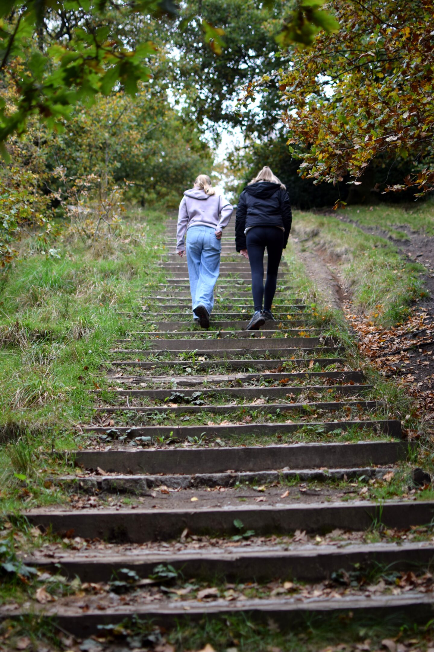 Climbing the steps at Tandle Hill