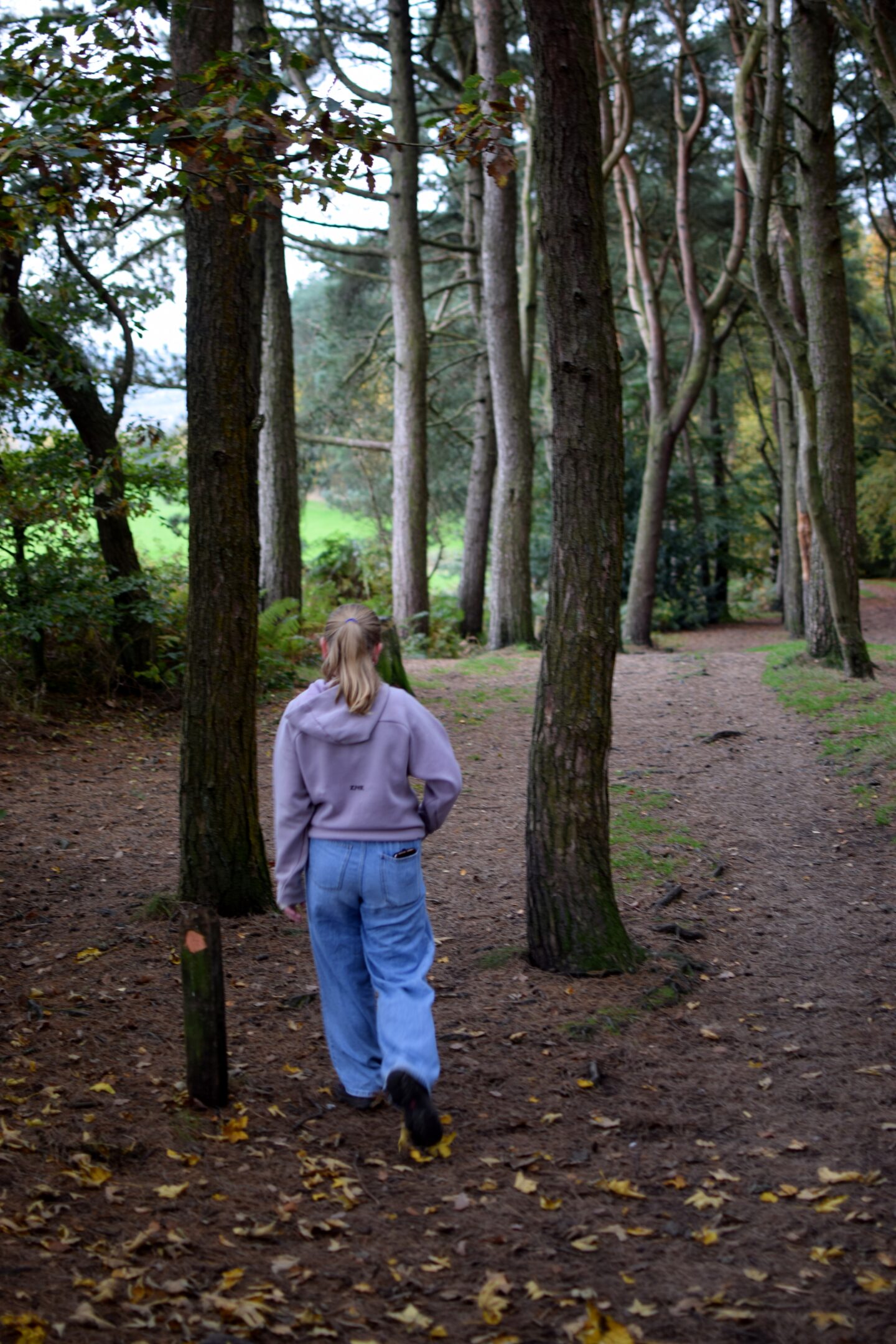 Tandle Hill Country Park - walks with kids