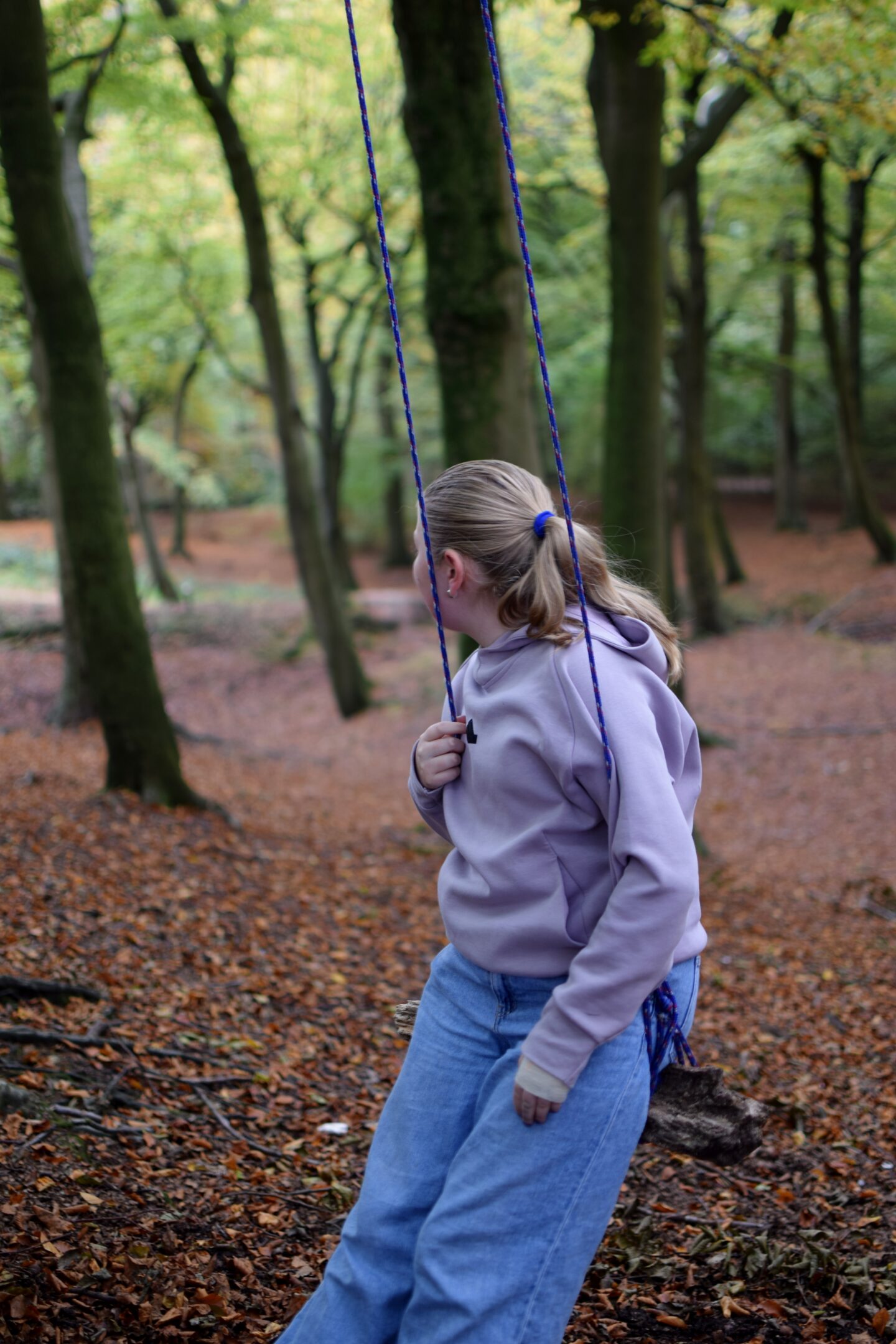 Tree swing in Tandle Hill Country Park