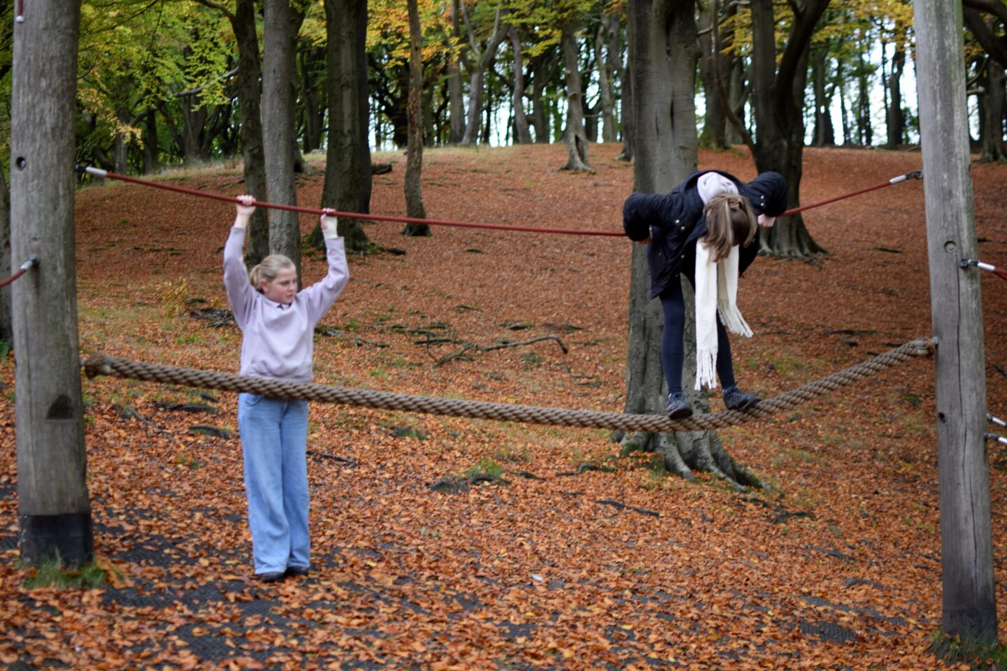 Woodland play area at Tandle hill