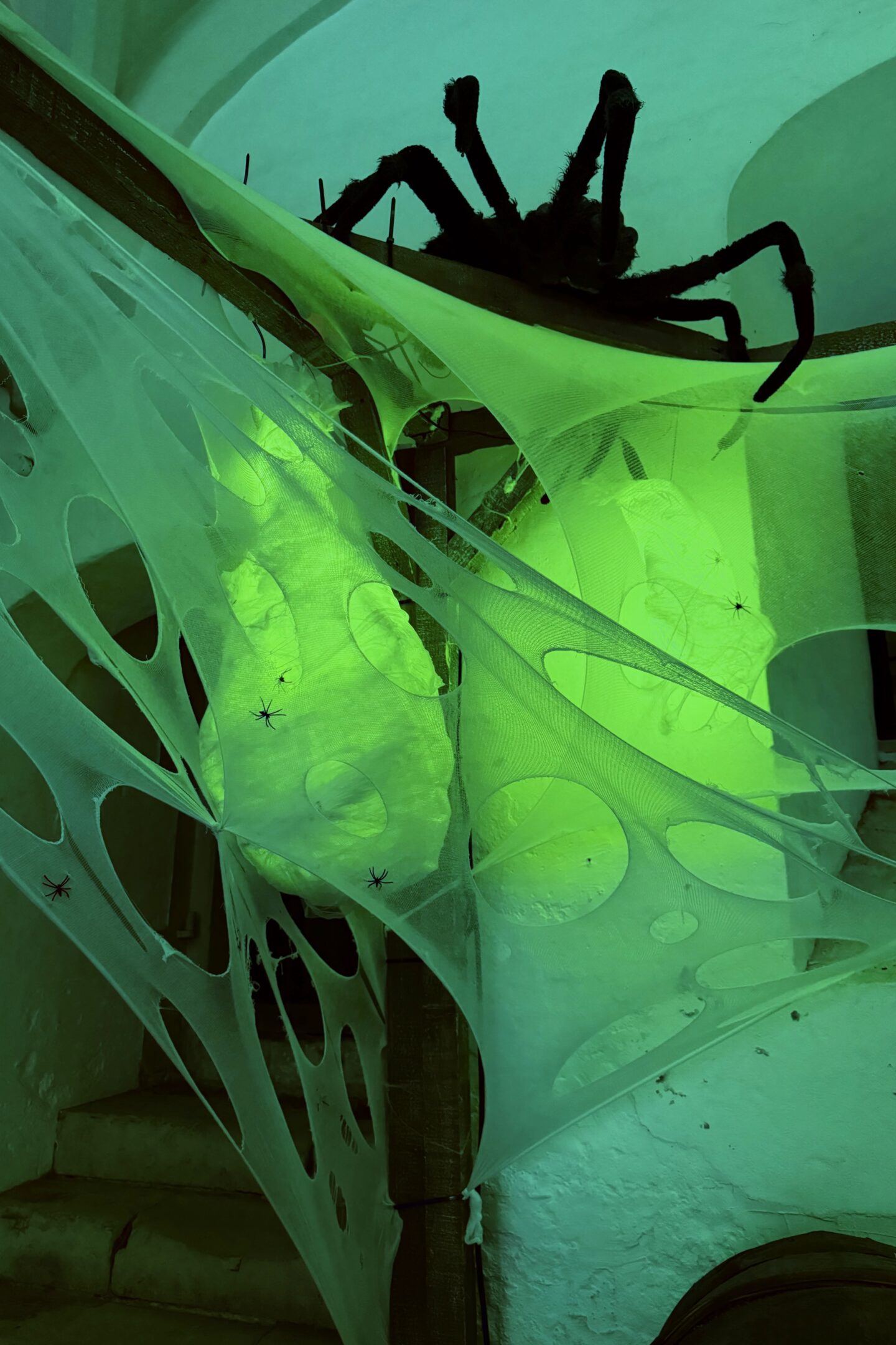 Spiders at Hampton Court Palace Halloween event