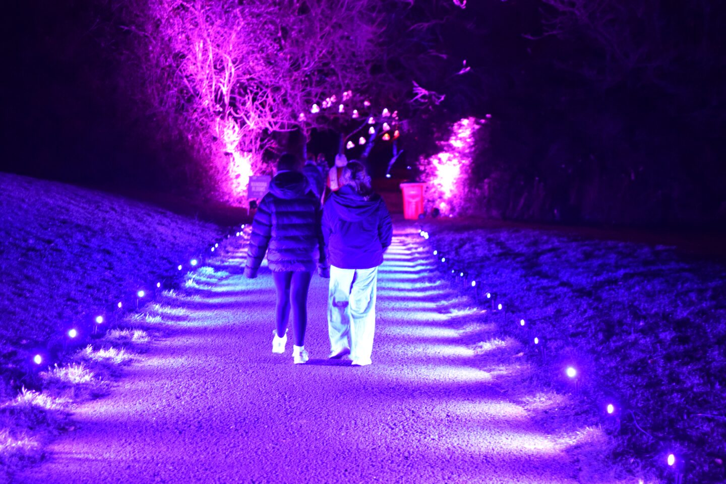 Northern Lights Manchester lit pathways