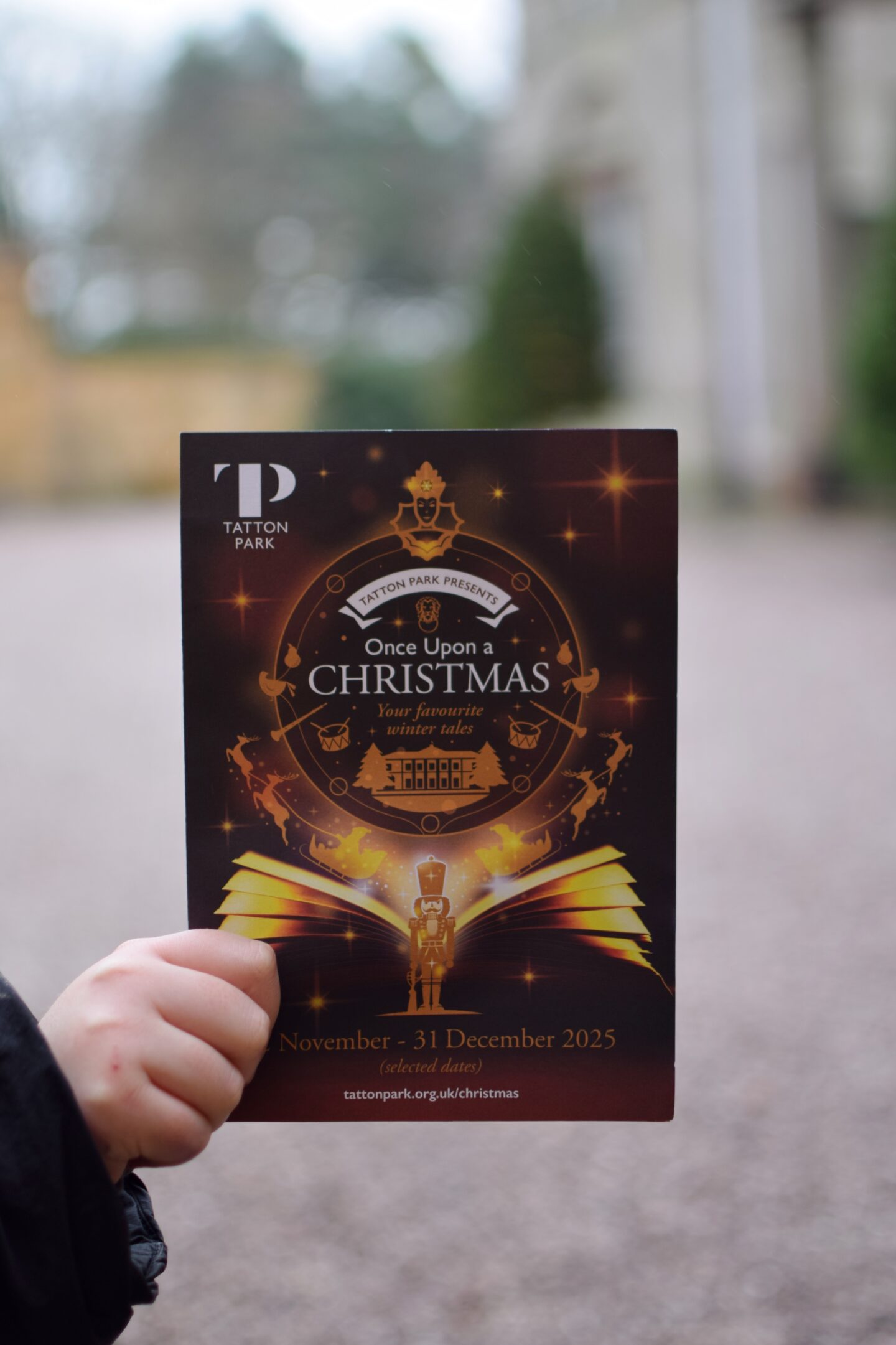 Once upon a Christmas details
