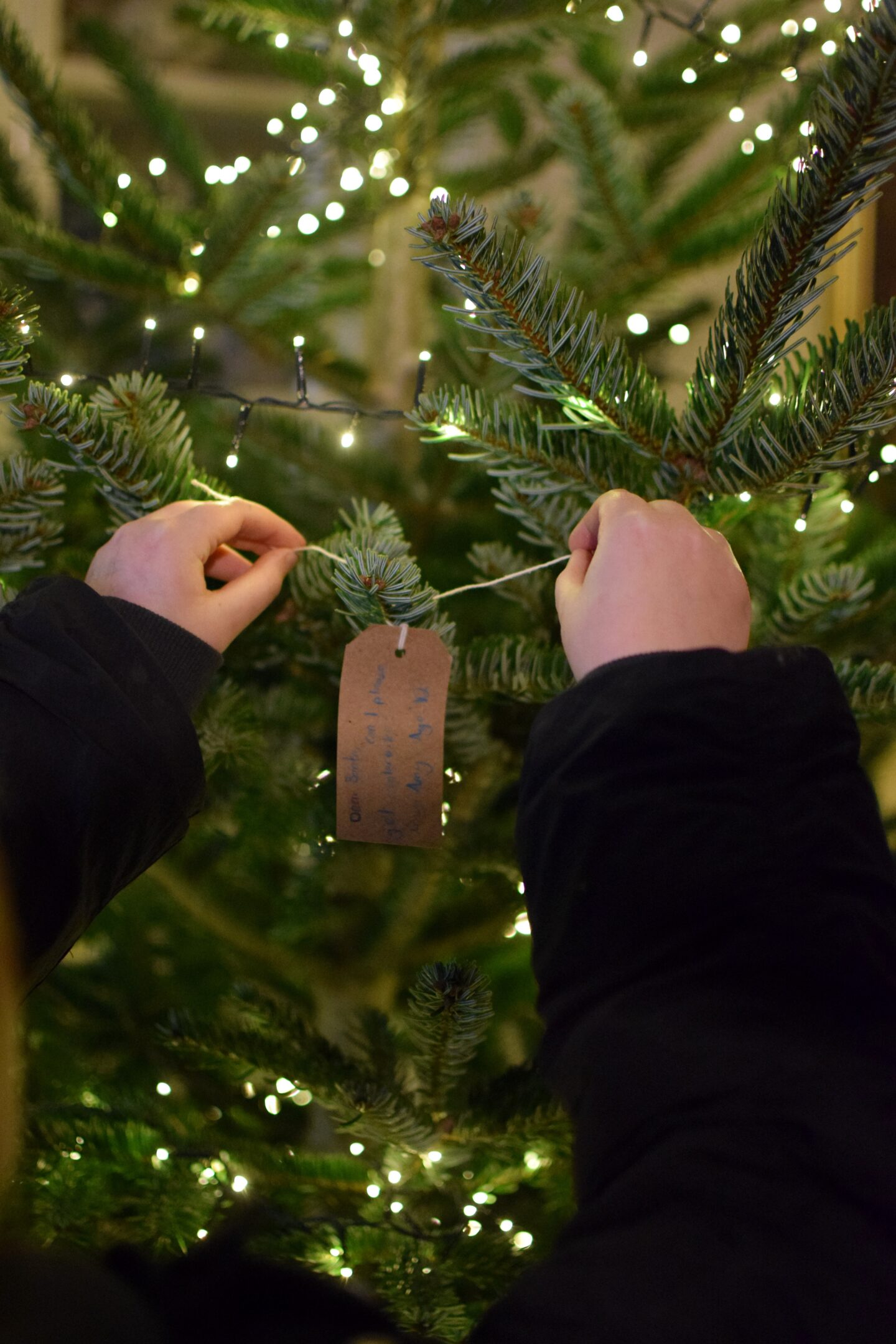 Christmas wish tree
