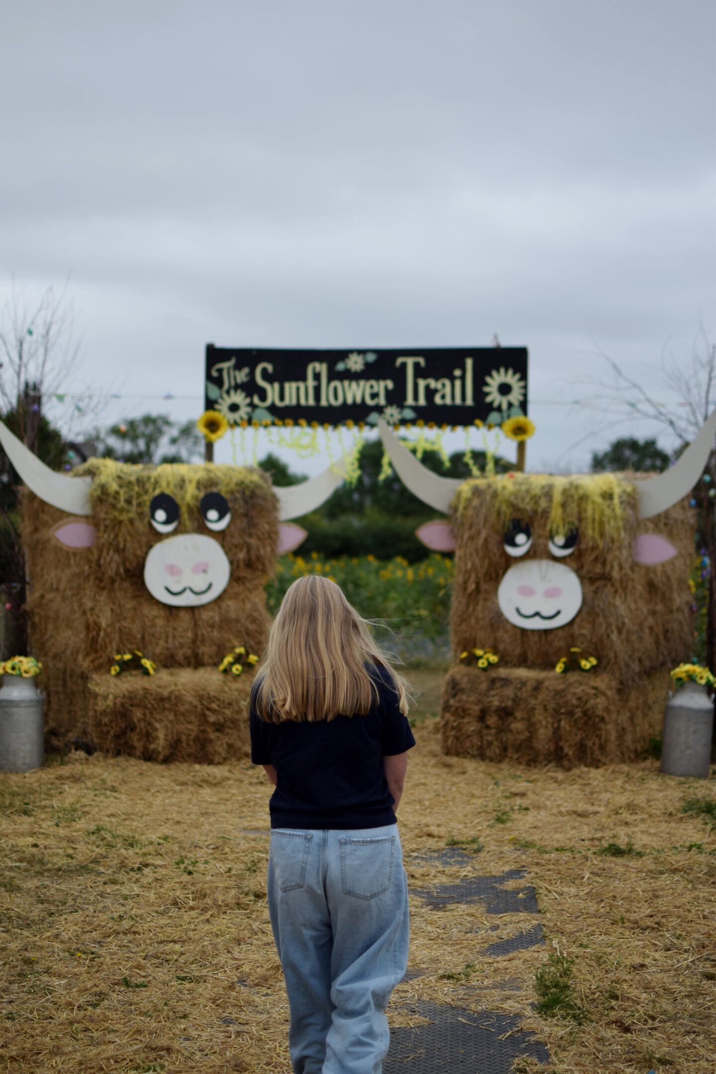 Dunham Massey Ice Cream Farm - Sunflower trail entrance