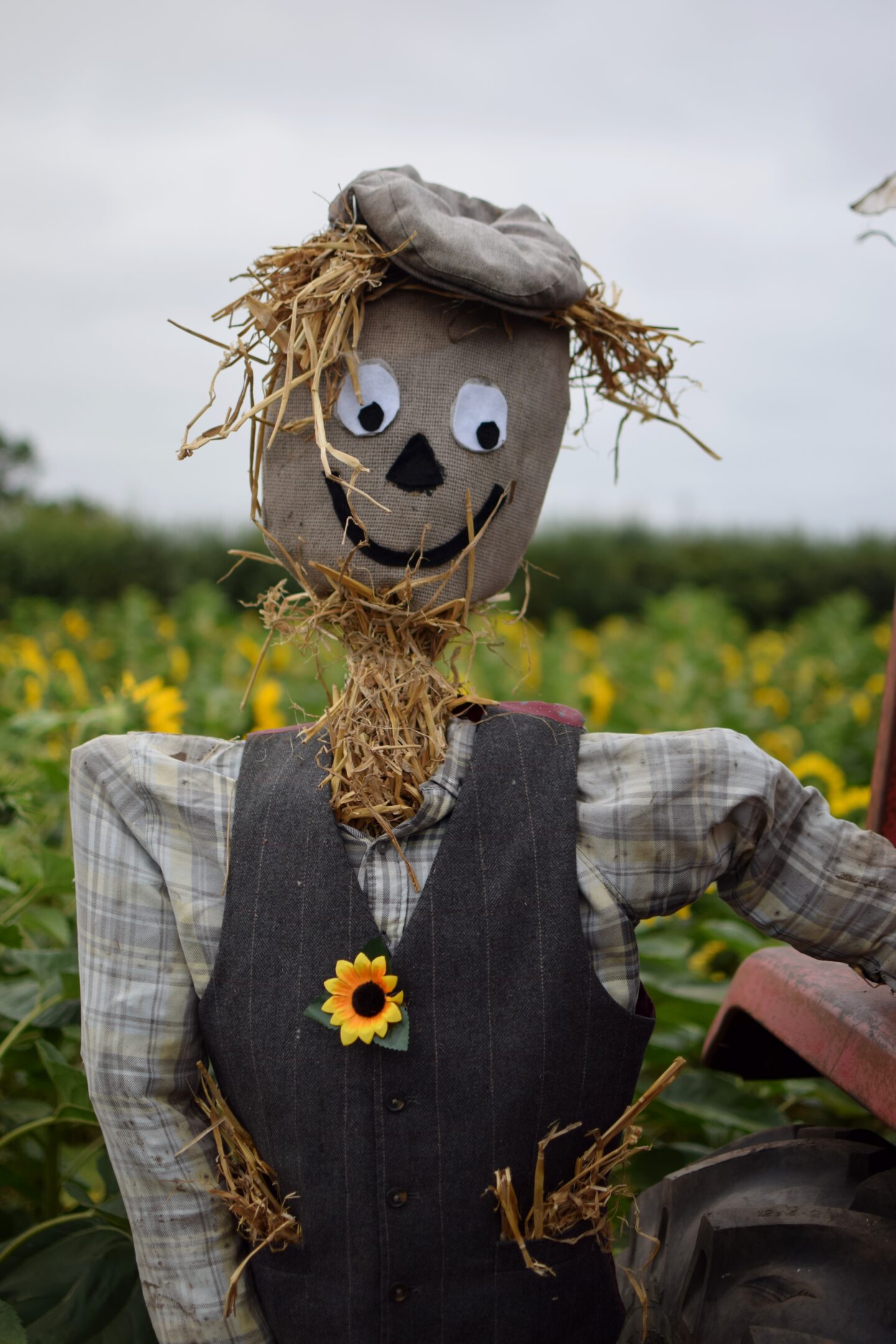Dunham Massey Ice Cream Farm - Sunflower trail scarecrow