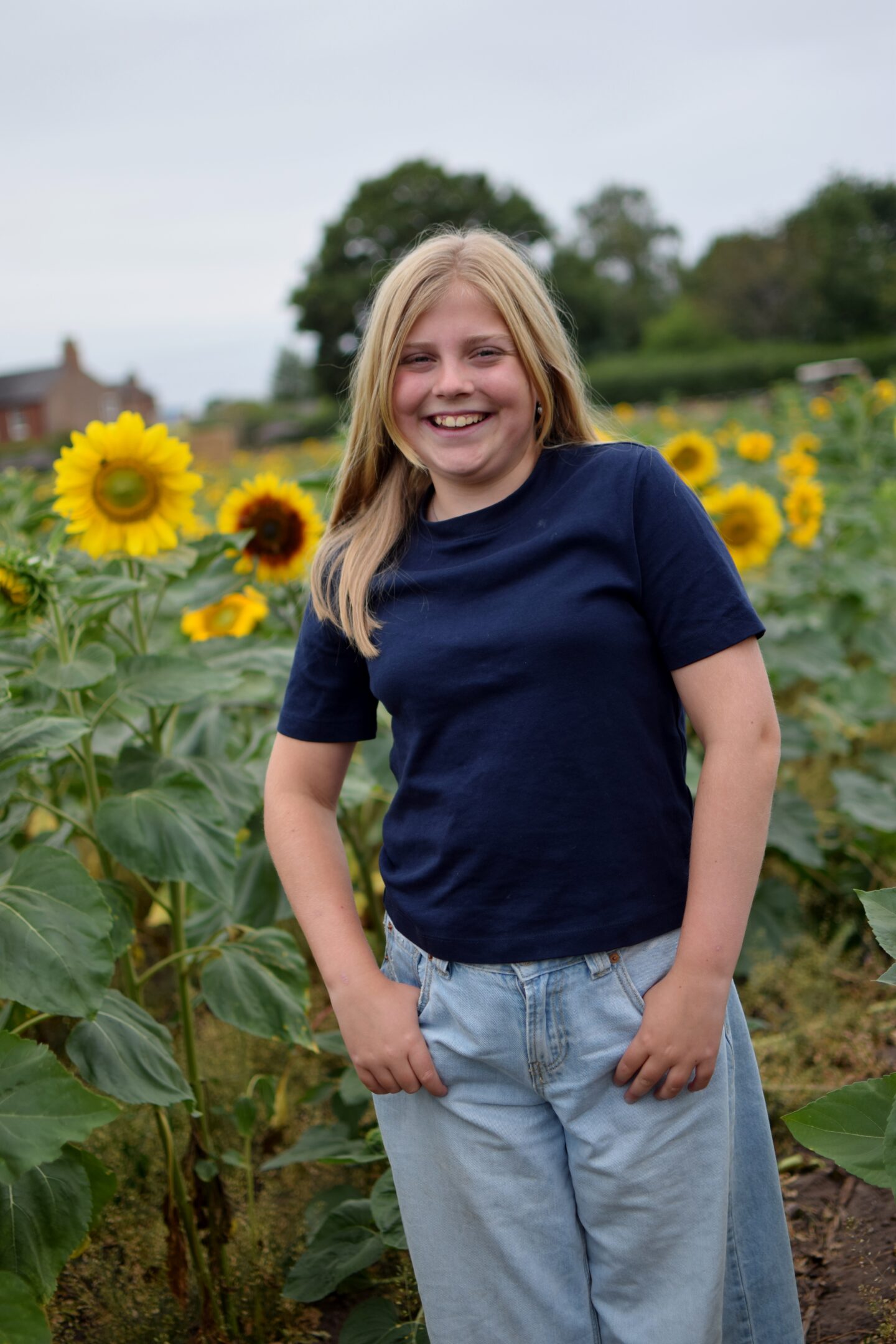 Dunham Massey Ice Cream Farm - Sunflower trail - Amy
