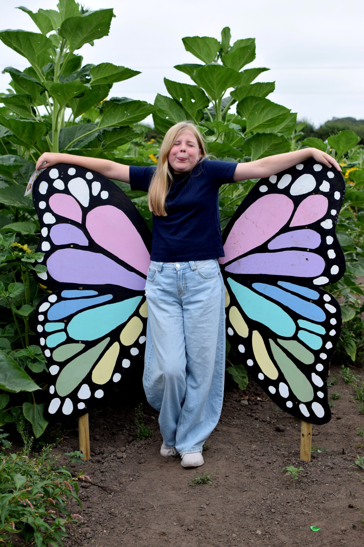 Dunham Massey Ice Cream Farm - Sunflower trail photo opportunity