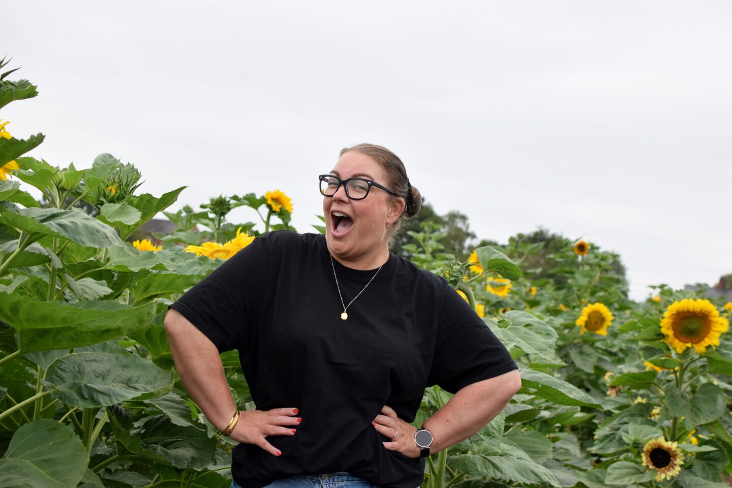 Dunham Massey Ice Cream Farm - Sunflower trail Colette