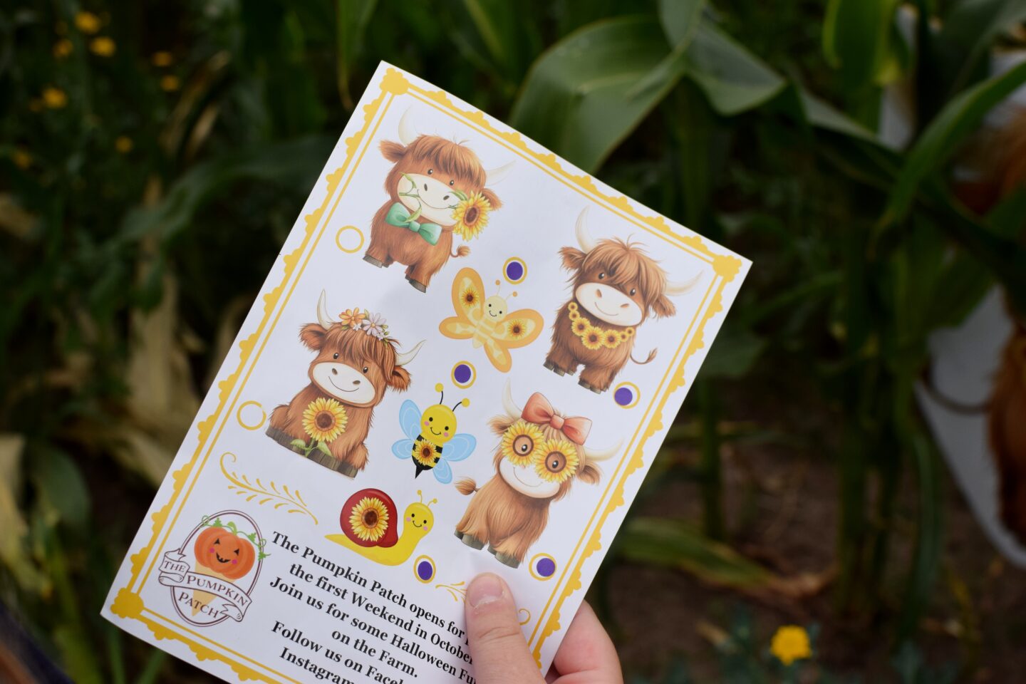 Dunham Massey Ice Cream Farm - Sunflower trail - scavenger hunt sheet