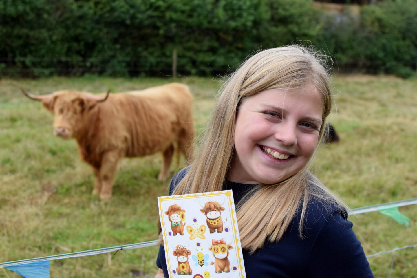 Dunham Massey Ice Cream Farm - Sunflower trail - highland cow