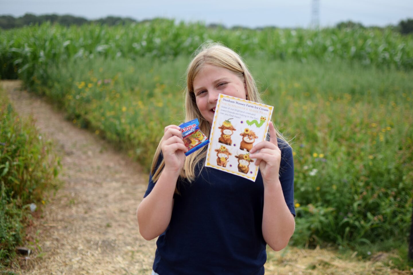 Dunham Massey Ice Cream Farm - Sunflower trail - reward