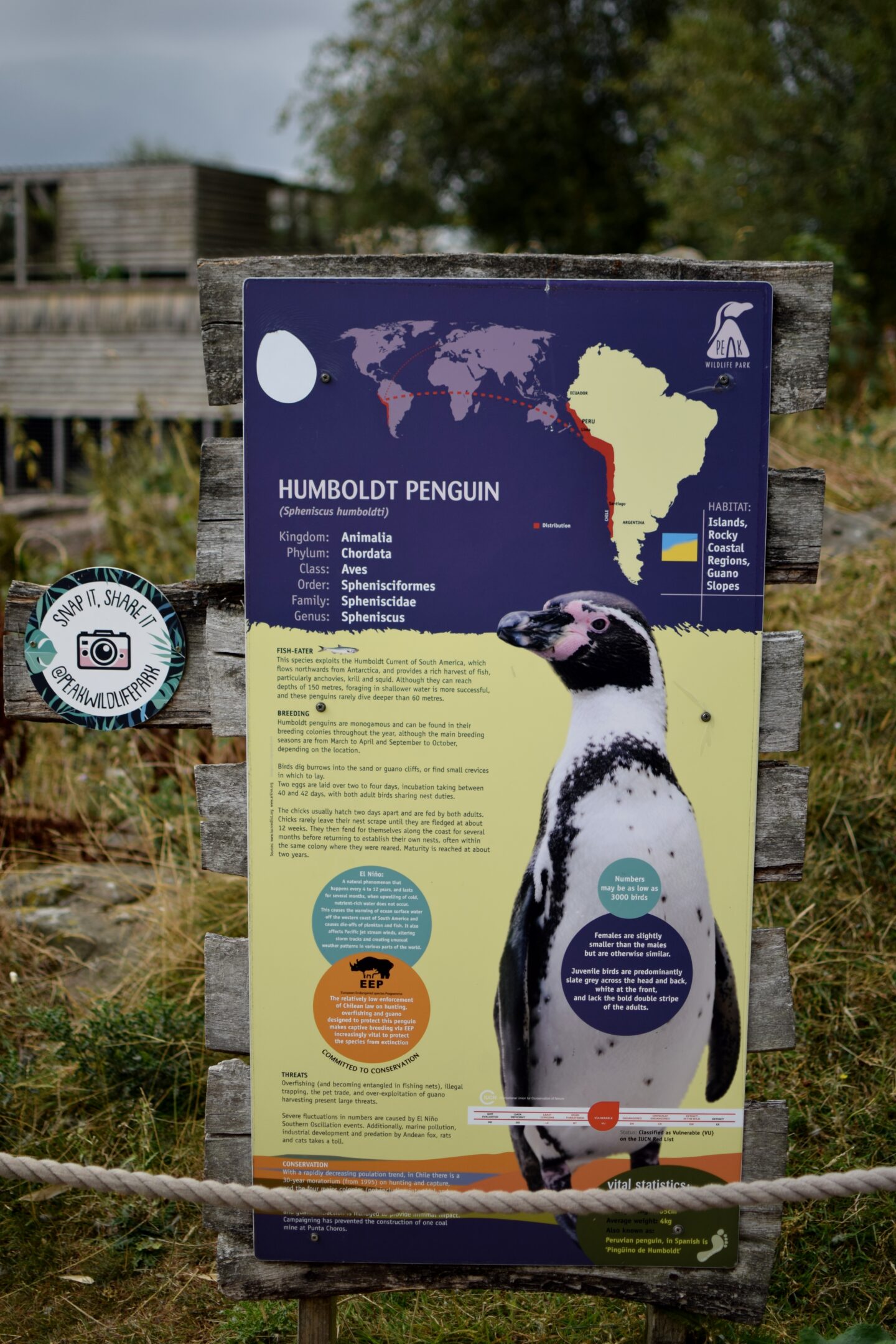 Penguin information board