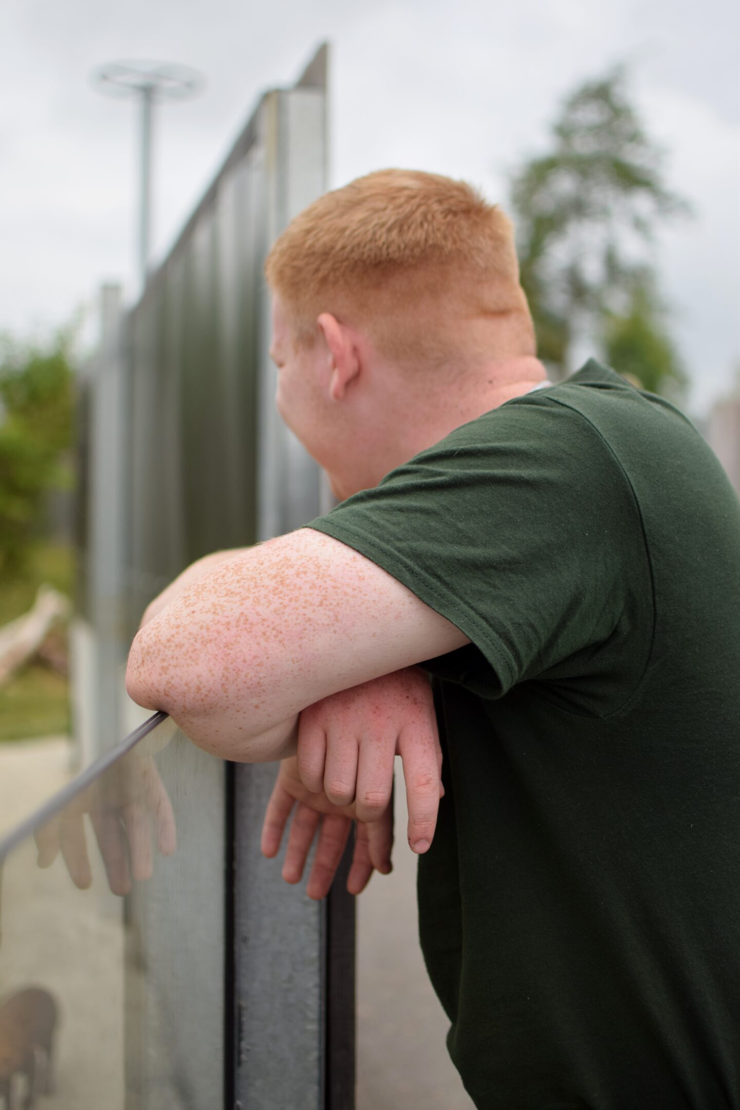 Ben watching animals at Peak Wildlife Park